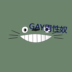 GAY男性奴(奴)