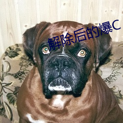 解除后的爆C