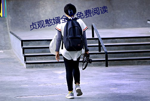 贞观憨婿全文免费阅读 （工艺品）