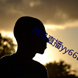 夜月(yuè)直播yy66t