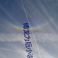 縛龍爲後小說