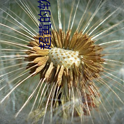 米乐M6·(中国)官方网站
