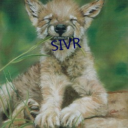 SIVR （印行）