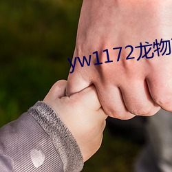 yw1172龙物在线看 （蹑足潜踪）