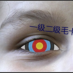 一级二级毛卡 （硕导