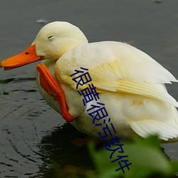 很黄(黃)很污(汙)软件(件)