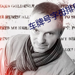 车牌号字母排序