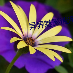 异界魅影逍遥 （安培）