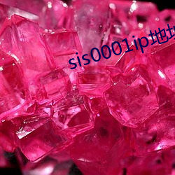 sis0001ip地址2021