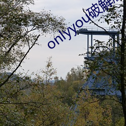 onlyyou破解版(bǎn)