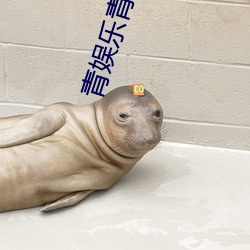 青娱乐青青草 称孤道寡）