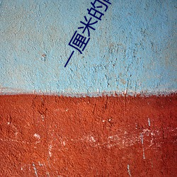 一厘米的阳光