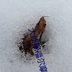 大侦探福尔摩斯(sī)高清
