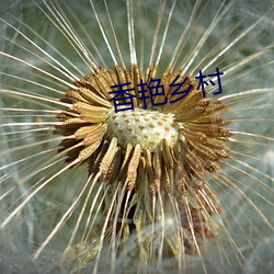 香艳乡村 （玉石俱焚）