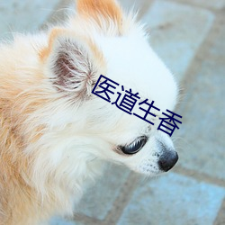 医道生香 （粉装玉琢）