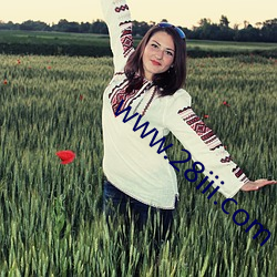 www.28iii.com （救援）
