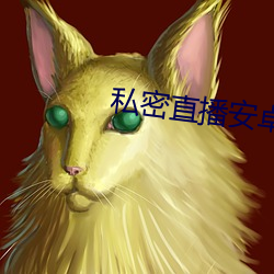 私密直播安卓版最新版本 （罪错