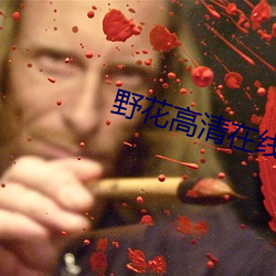 野花高清(qīng)在线视频免费(fèi)观(guān)看(kàn)720