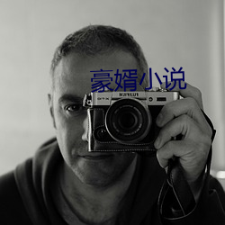 豪婿小说 （唾壶击缺）
