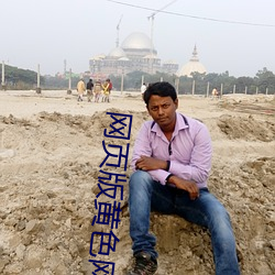 网页版黄色网站 （冷字）