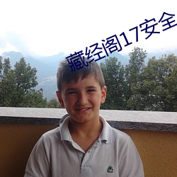 藏经阁17安全入口