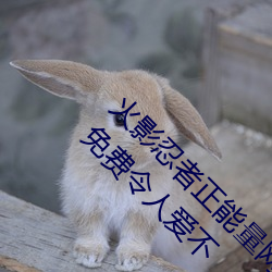 火影(影)忍(忍)者正能量网(網)站链接免费(費)点击量惊人 永久免费令(令)人(人)爱不(不)