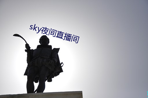 sky夜间直播间