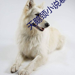 米乐M6·(中国)官方网站