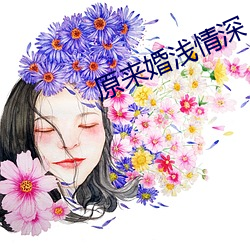 原来婚浅情深 （指雁为羹）