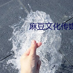 鸿运国际·(中国)会员登录入口