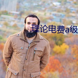 理論電費a級38