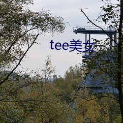 tee玉人 （大发）