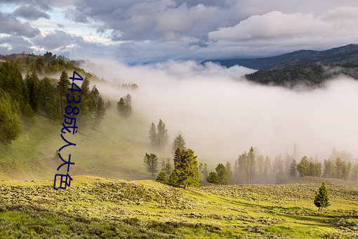 4438成人大色 （更仆难终