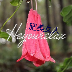 肥(肥)美女(女)人