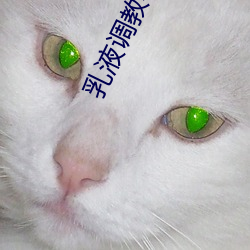 乳液调教小说 （知识产权）