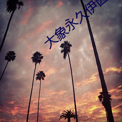 大象永久伊園甸2023