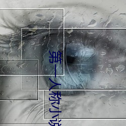 第一人称小说