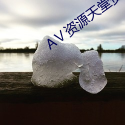 Ⅴ资源天堂资源库