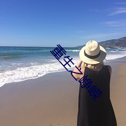 重生(shēng)之峥嵘