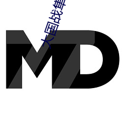 大(dà)国战隼