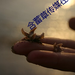 尊龙凯时人生就是搏(中国区)官方网站