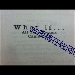 金瓶梅在线阅读