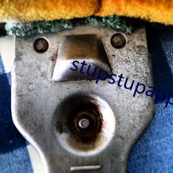 stupstupapp