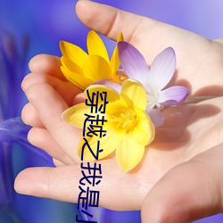 穿(穿)越之(之)我是(是)小龙女(女)