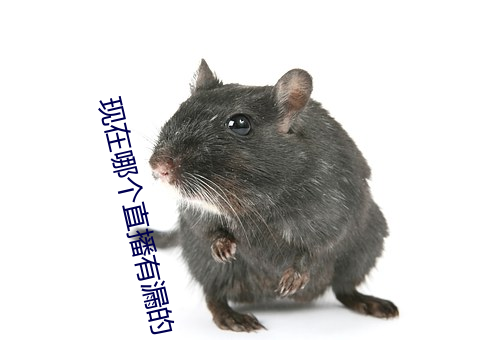 现在哪个(個)直播有(有)漏的