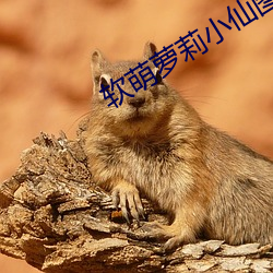 软萌萝莉小(xiǎo)仙(xiān)图(tú)片