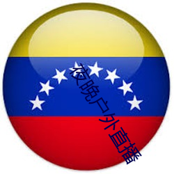 夜晚户外直(直)播