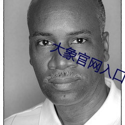 大象官网入口
