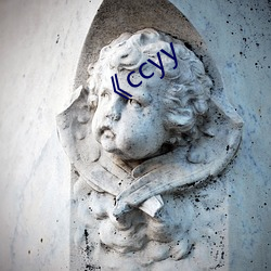 《ccyy （共识）