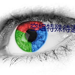 空姐特殊待遇4
